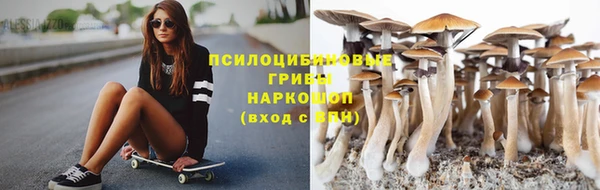 дурь Волоколамск