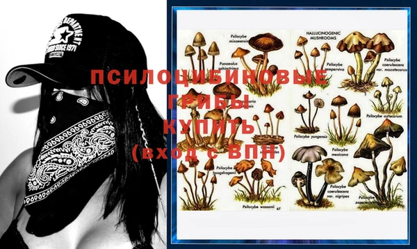 дурь Волоколамск