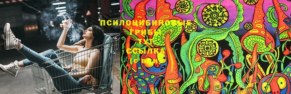 спиды Волосово